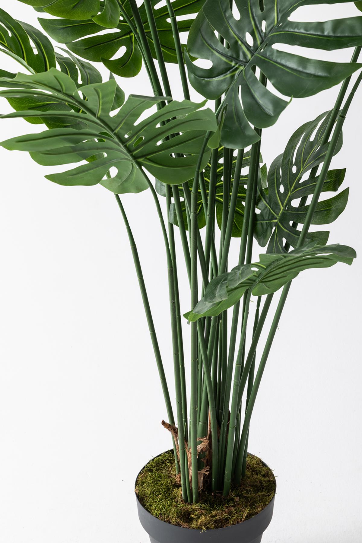 Yapay DeveTabanı(Monstera) Ağacı 200 Cm (Saksısız)