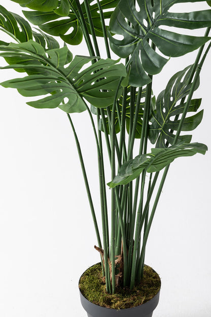 Yapay DeveTabanı(Monstera) Ağacı 200 Cm (Saksısız)