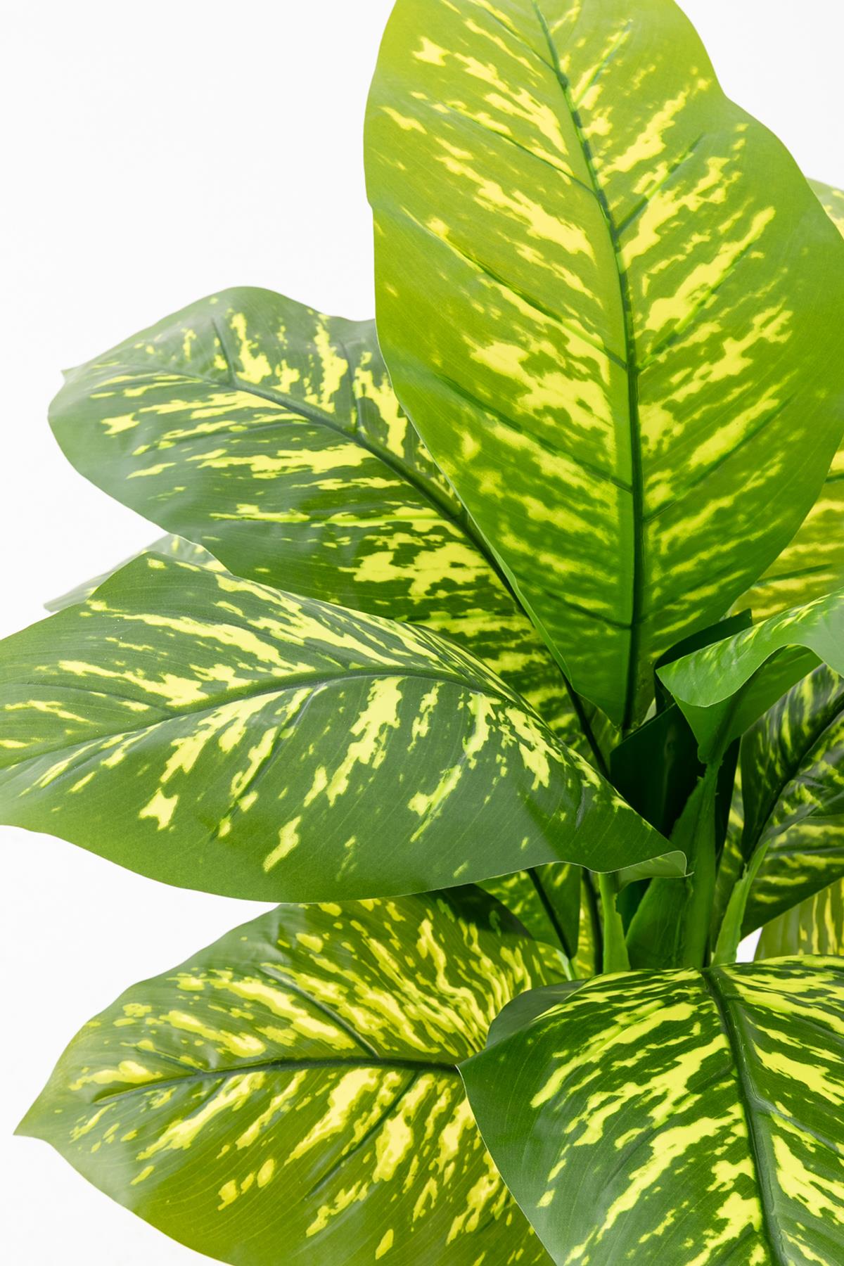 Yapay Difenbahya Ağacı 100 Cm 12 Dal