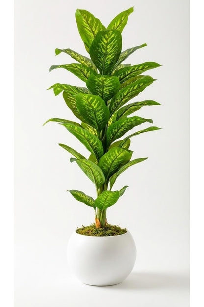 Yapay Difenbahya Ağacı 160 Cm