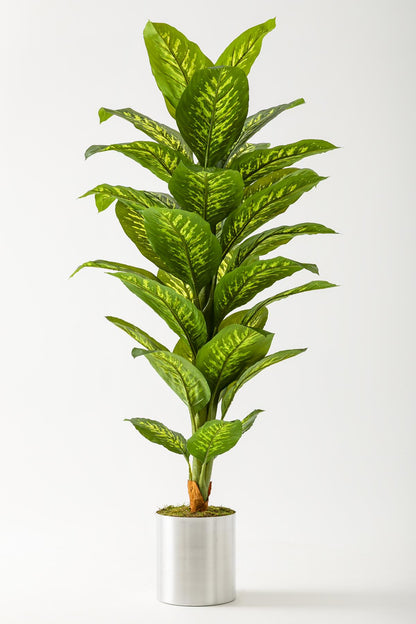 Yapay Difenbahya Ağacı 160 Cm