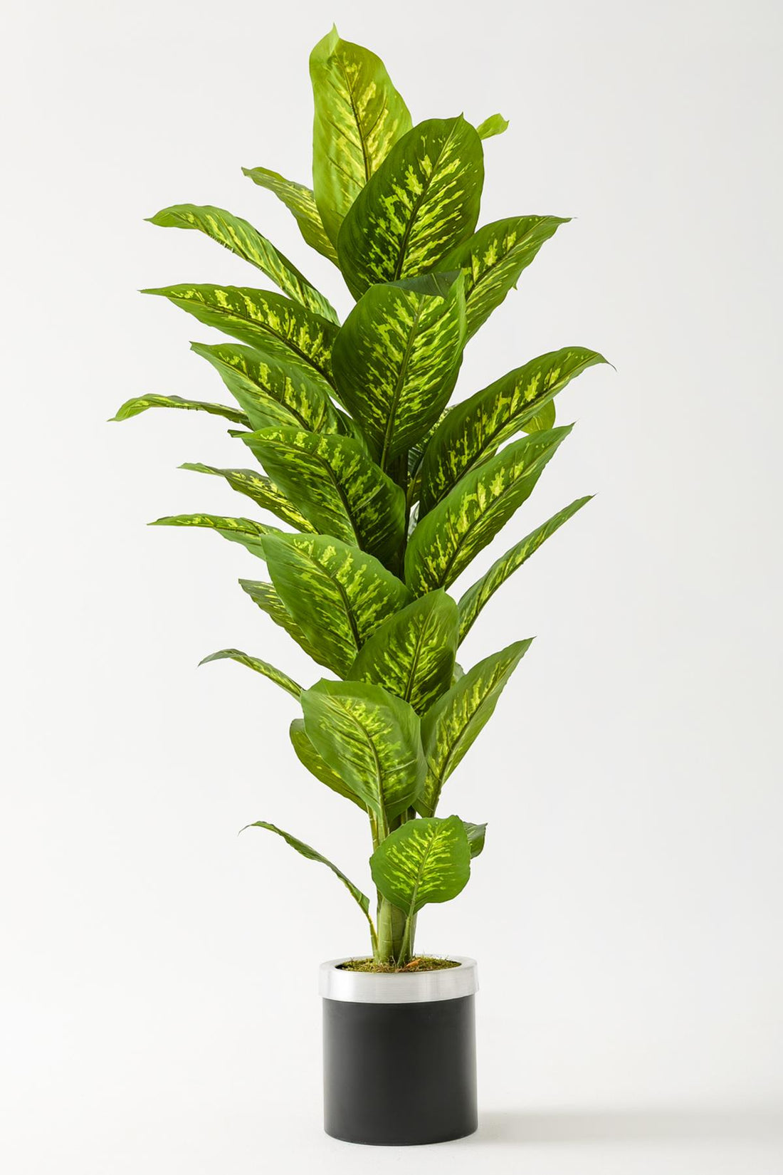 Yapay Difenbahya Ağacı 160 Cm