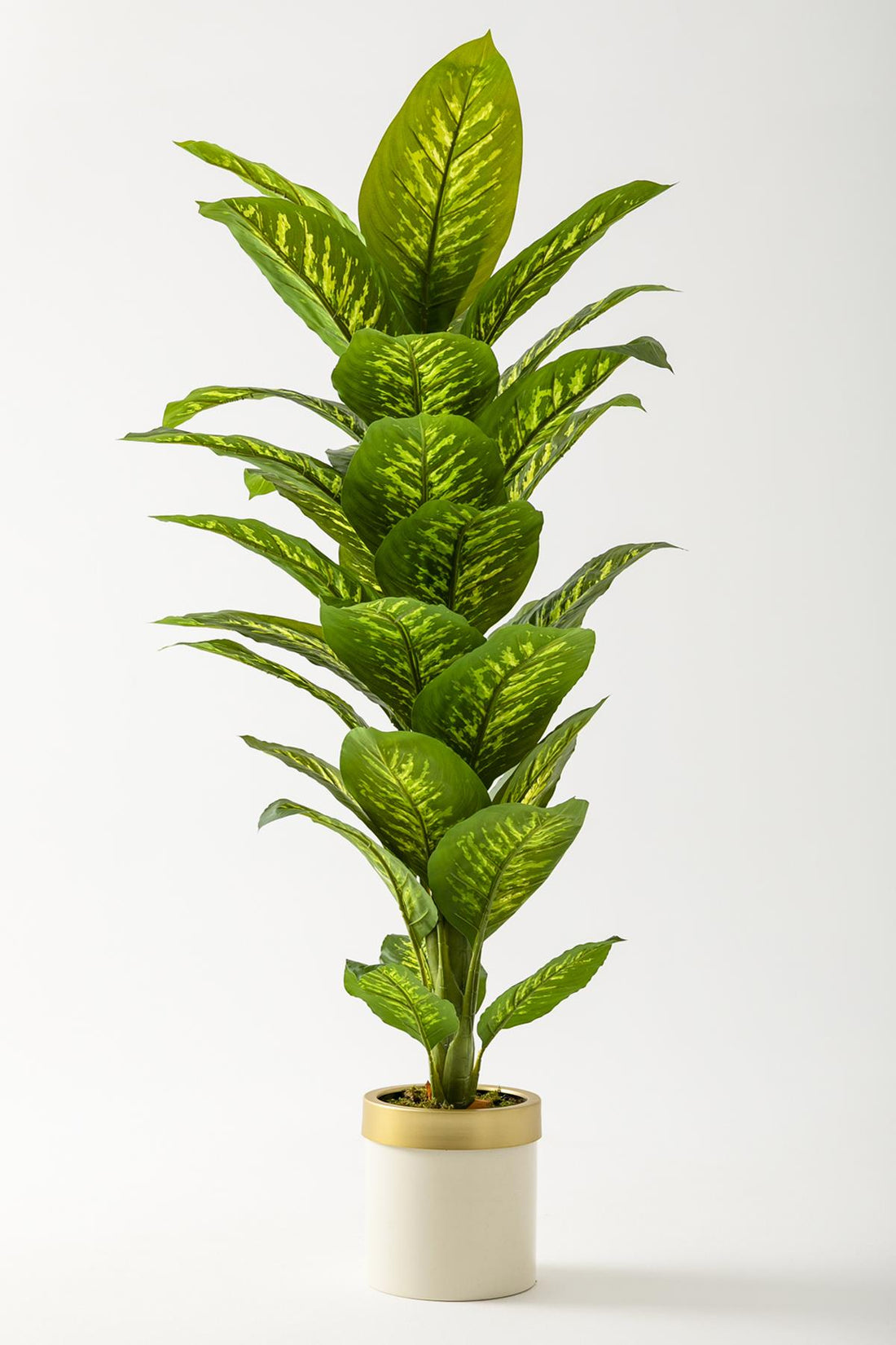 Yapay Difenbahya Ağacı 160 Cm