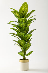 Yapay Difenbahya Ağacı 160 Cm Krem #renk_krem
