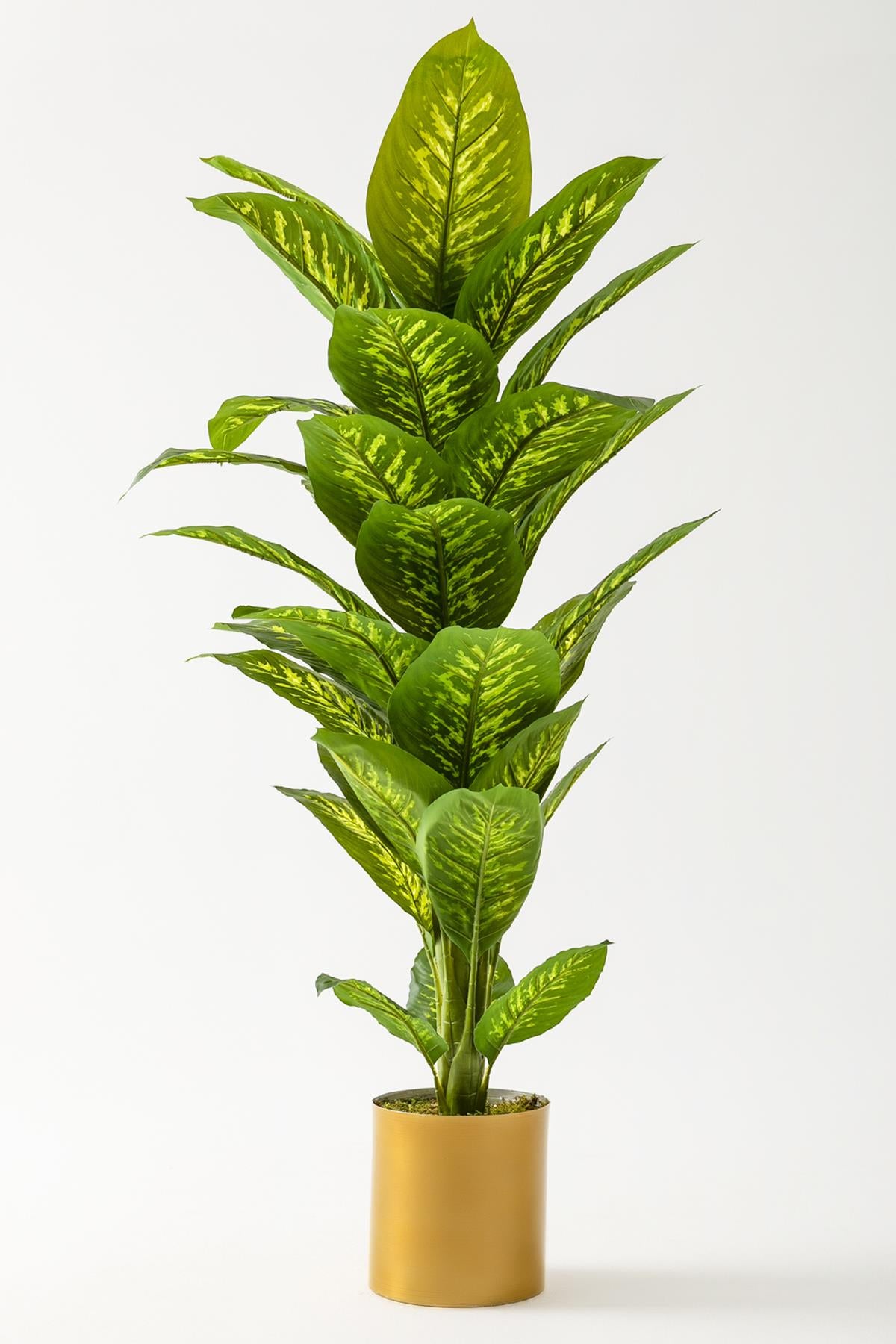 Yapay Difenbahya Ağacı 160 Cm