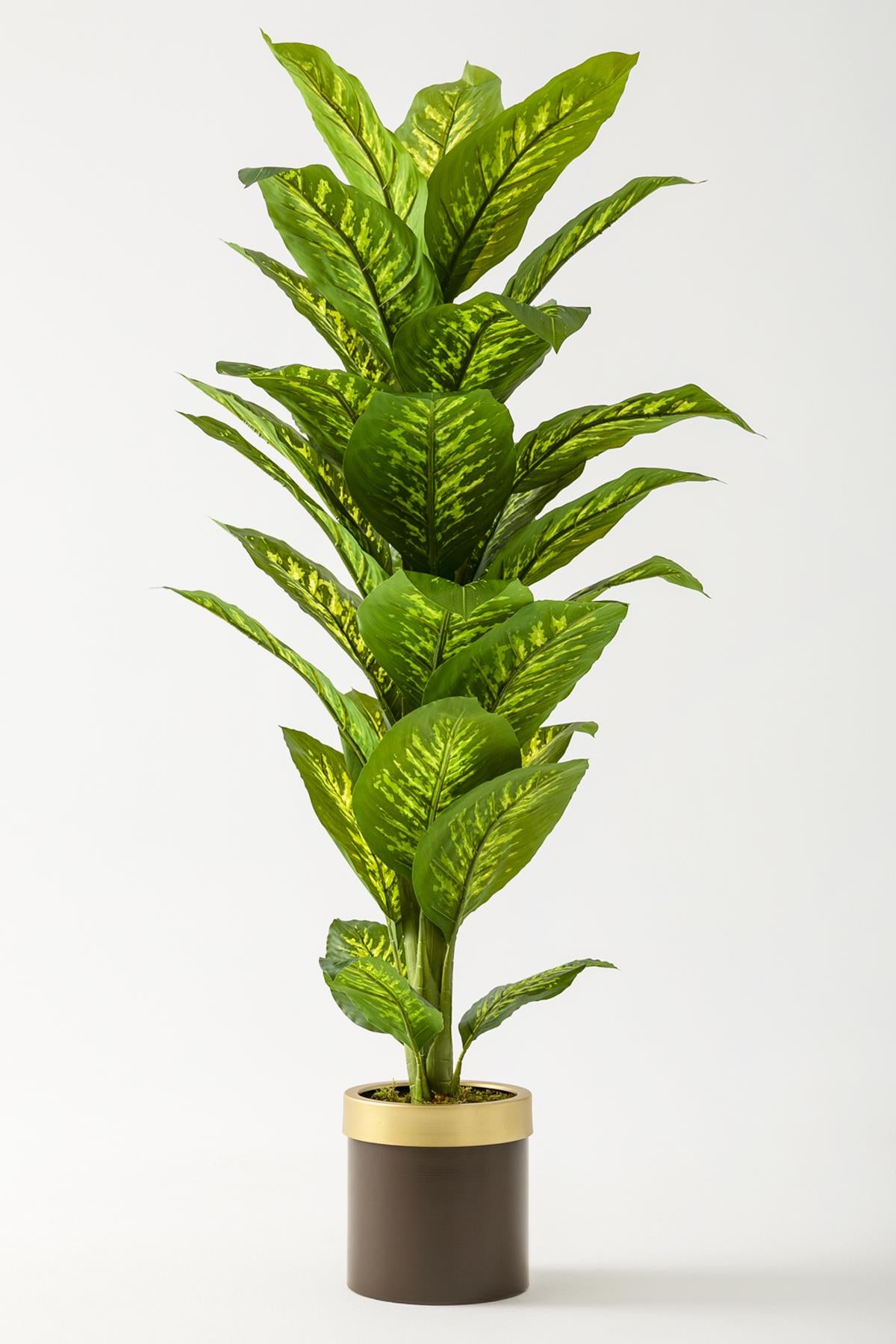 Yapay Difenbahya Ağacı 160 Cm