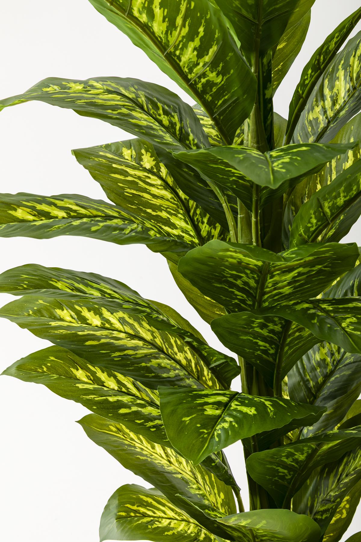 Yapay Difenbahya Ağacı 160 Cm Krem Gold Saksı