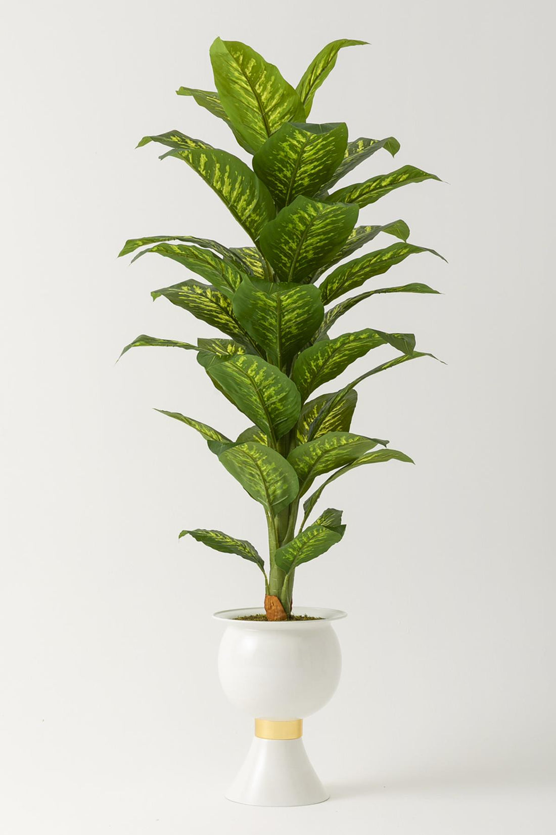 Yapay Difenbahya Ağacı 180 Cm Beyaz Balon Saksı