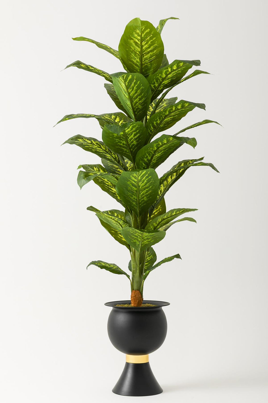 Yapay Difenbahya Ağacı 180 Cm Siyah Balon Saksı