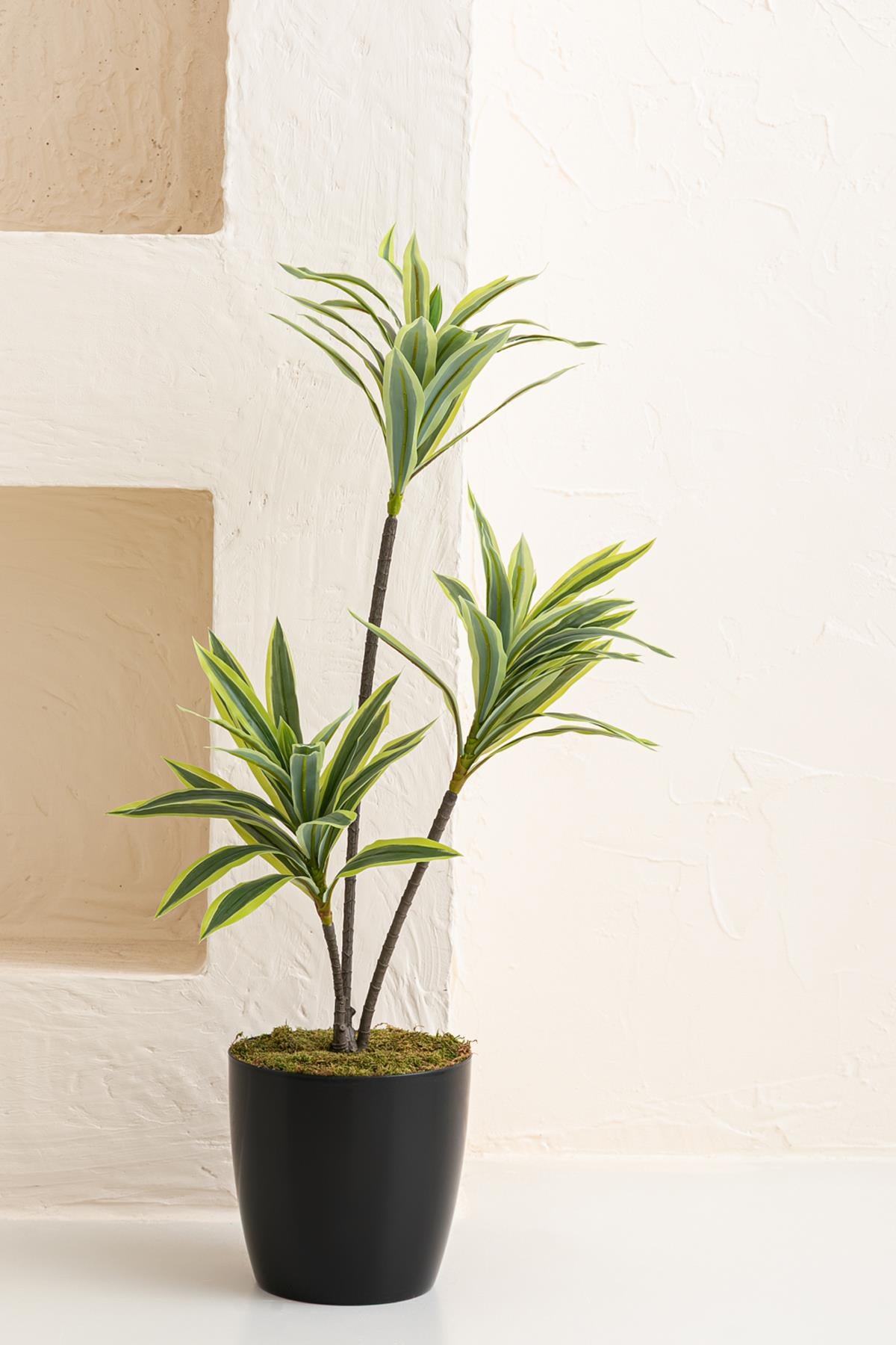 Yapay Dracena 80 Cm Açık Yeşil #renk_acik-yesil