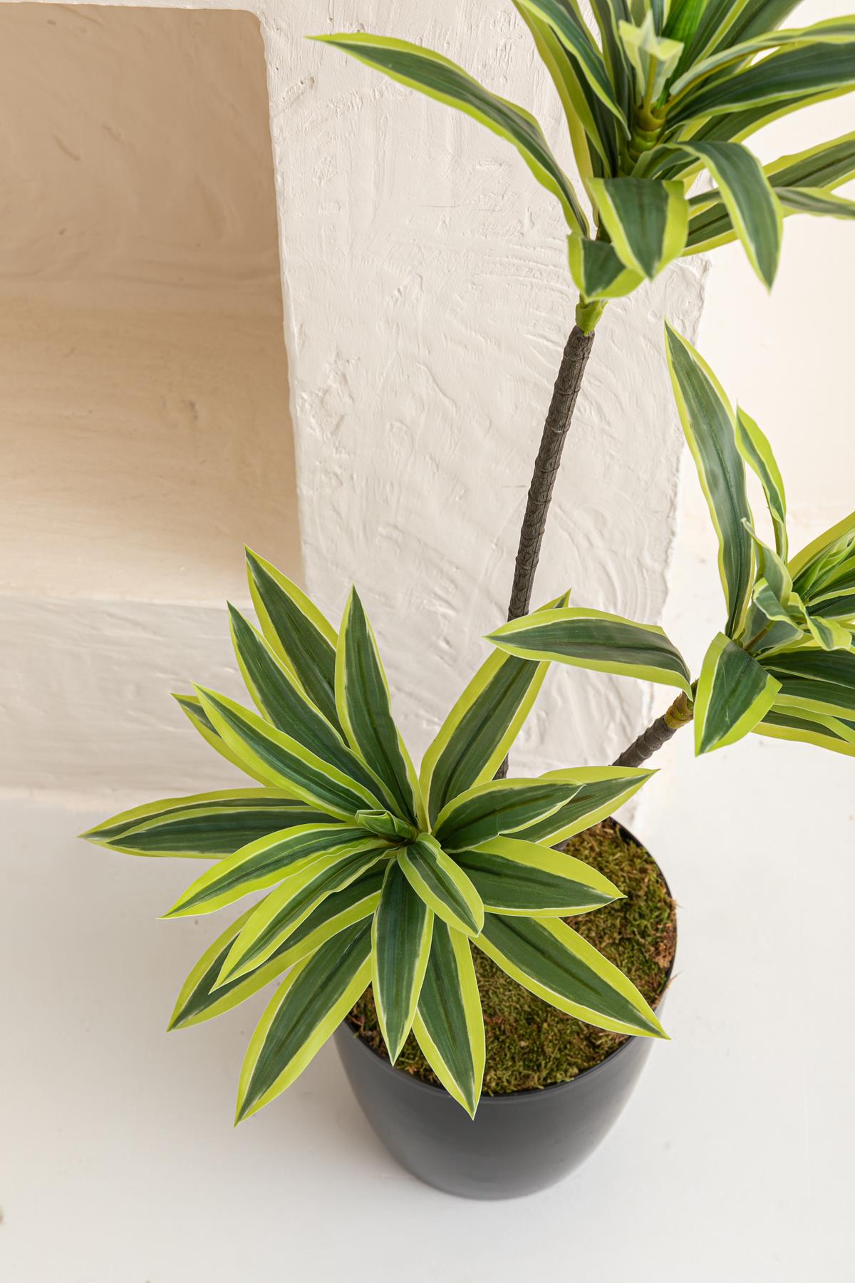 Yapay Dracena 80 Cm