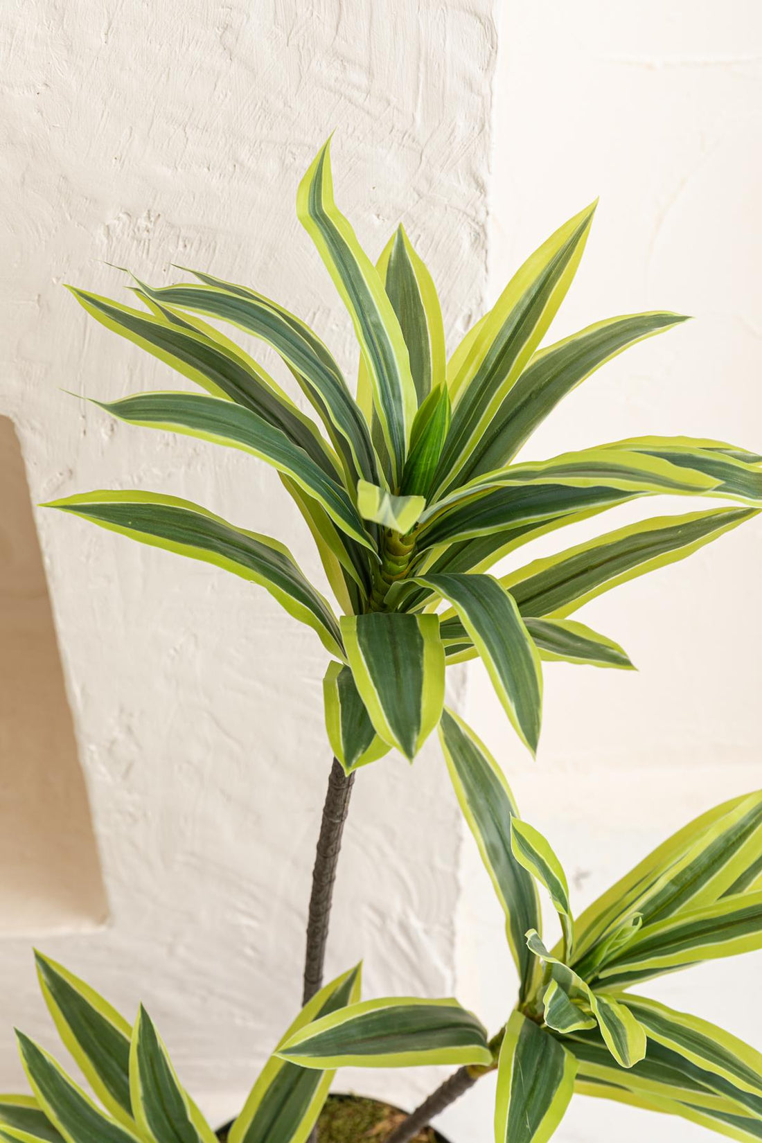 Yapay Dracena 80 Cm