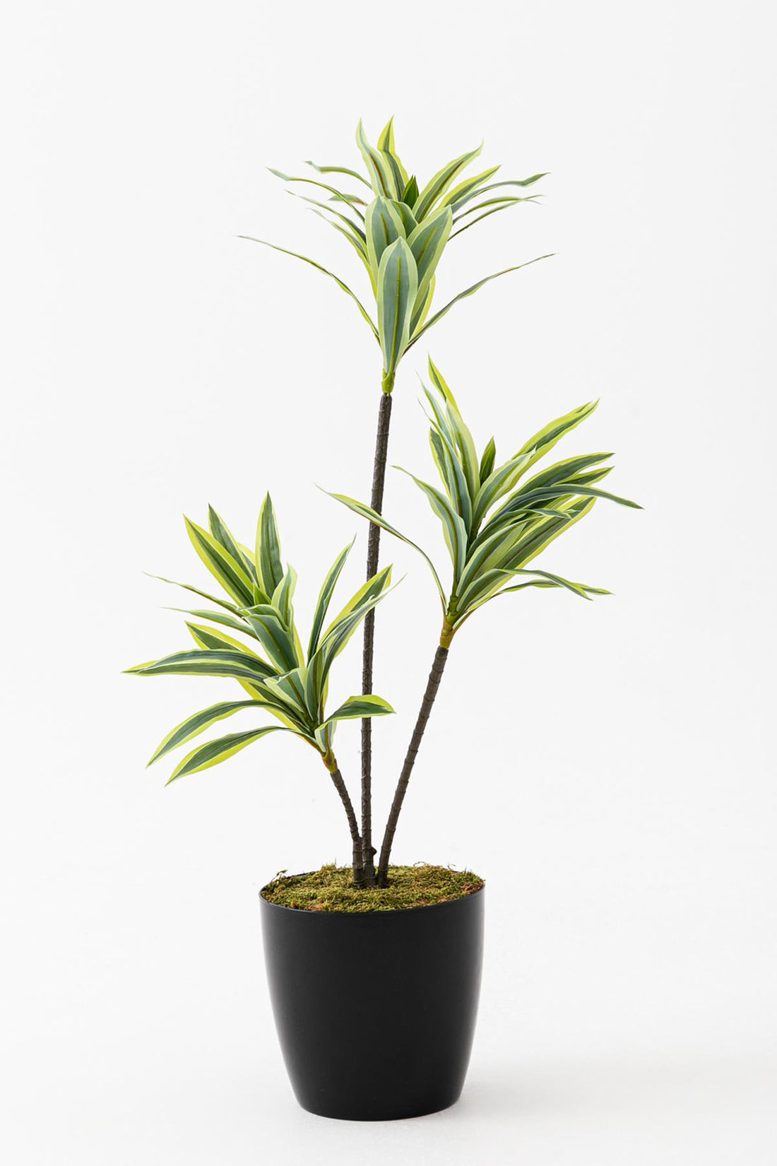 Yapay Dracena 80 Cm Koyu Yeşil 