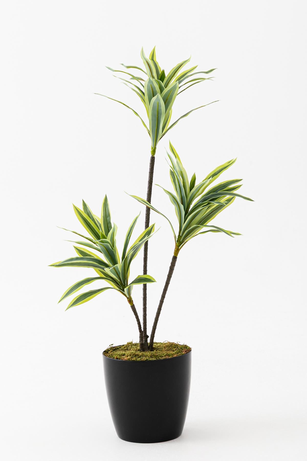 Yapay Dracena 80 Cm Koyu Yeşil #renk_koyu-yesil