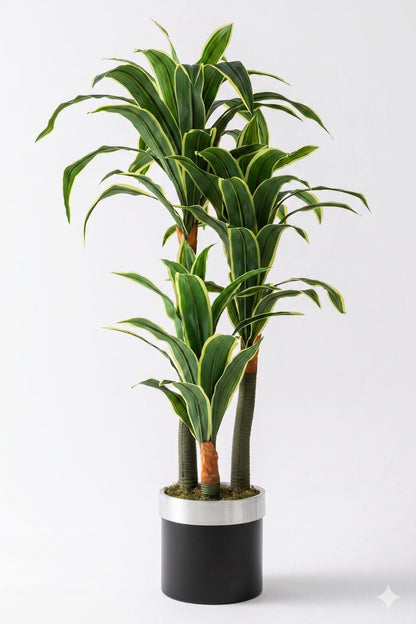 Yapay Dracena Siyah 