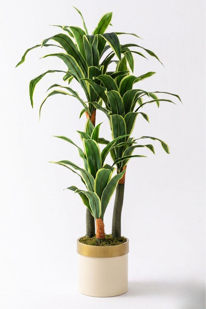 Yapay Dracena Krem 