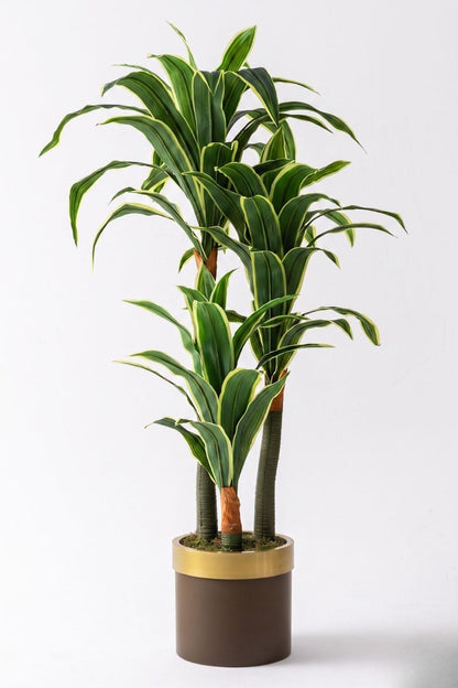 Yapay Dracena Kahverengi 