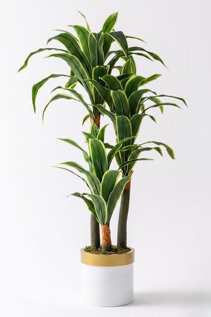 Yapay Dracena Beyaz 