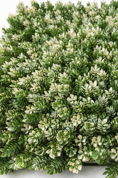 Yapay Duvar Paneli Uv Korumalı Çamdalı 50*50