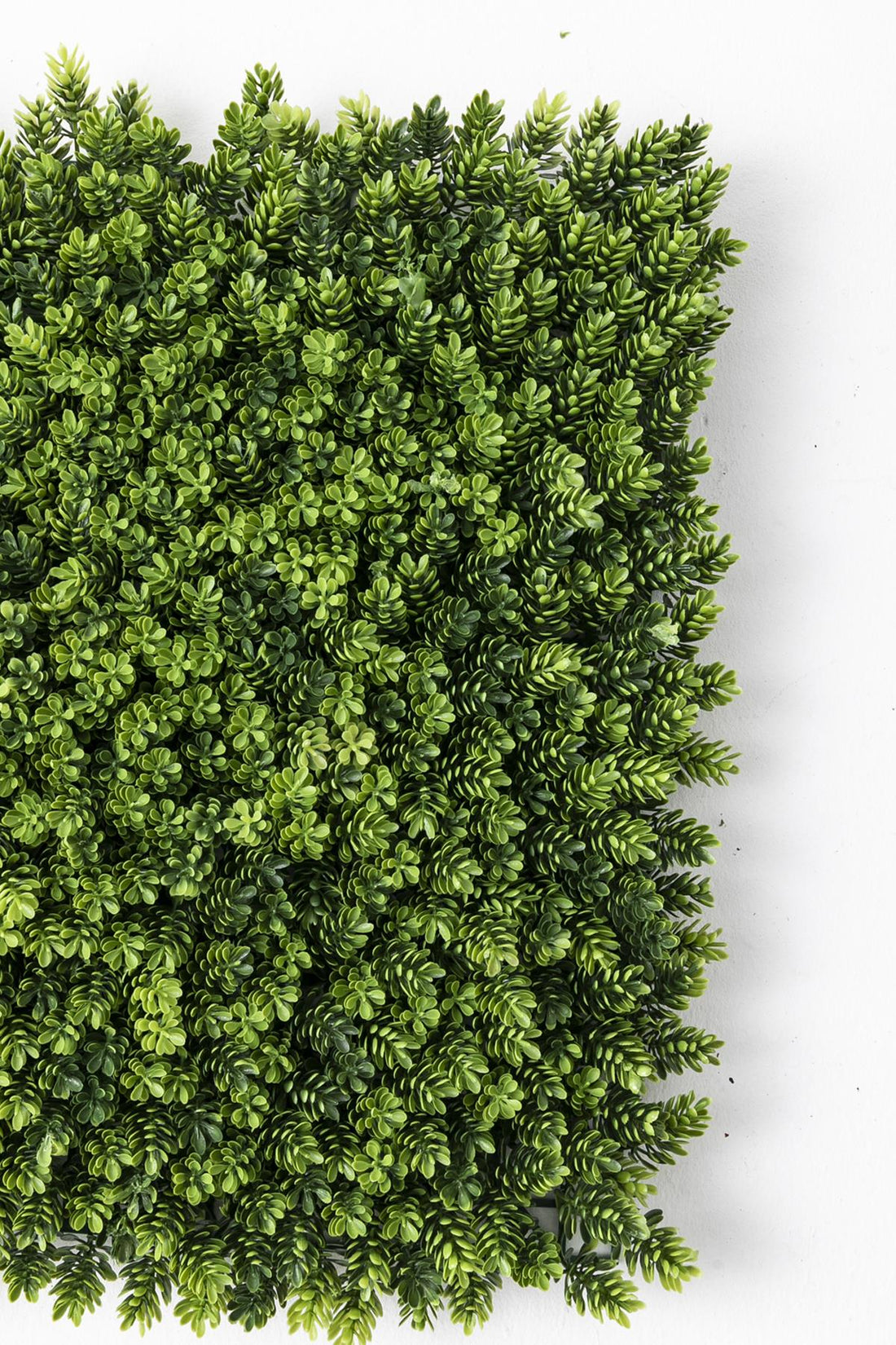 Yapay Duvar Paneli Uv Korumalı Çamdalı Yeşil 50*50