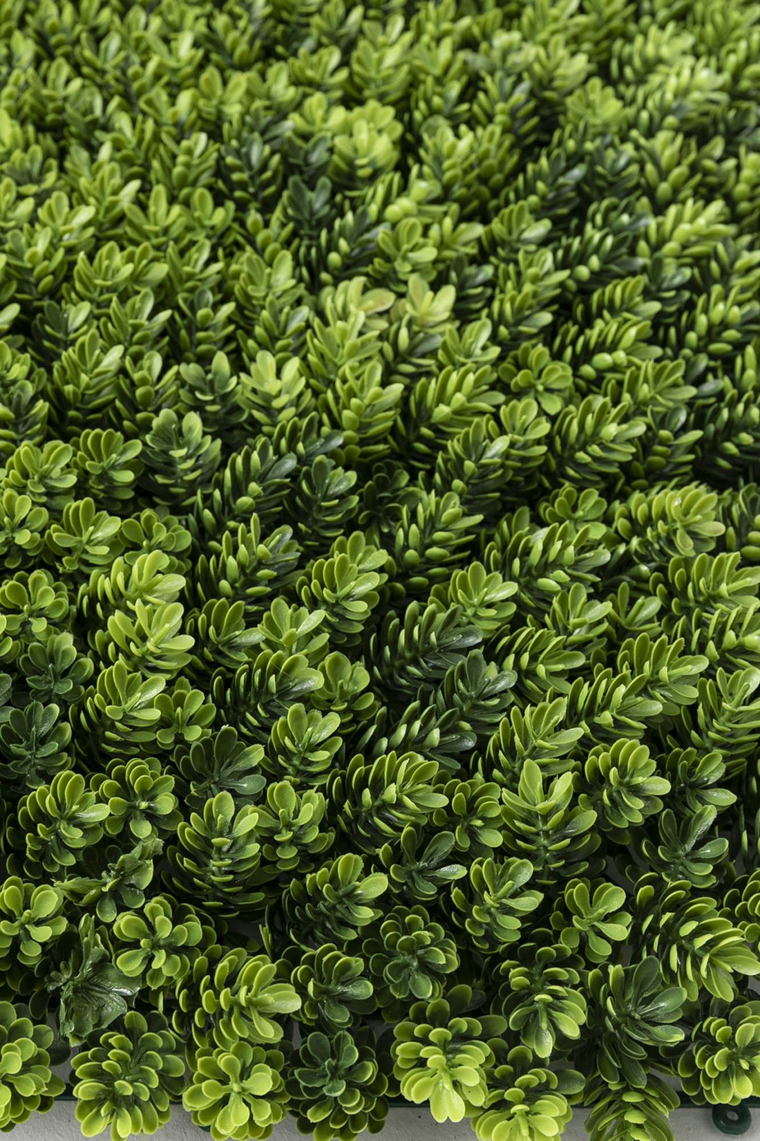 Yapay Duvar Paneli Uv Korumalı Çamdalı Yeşil 50*50