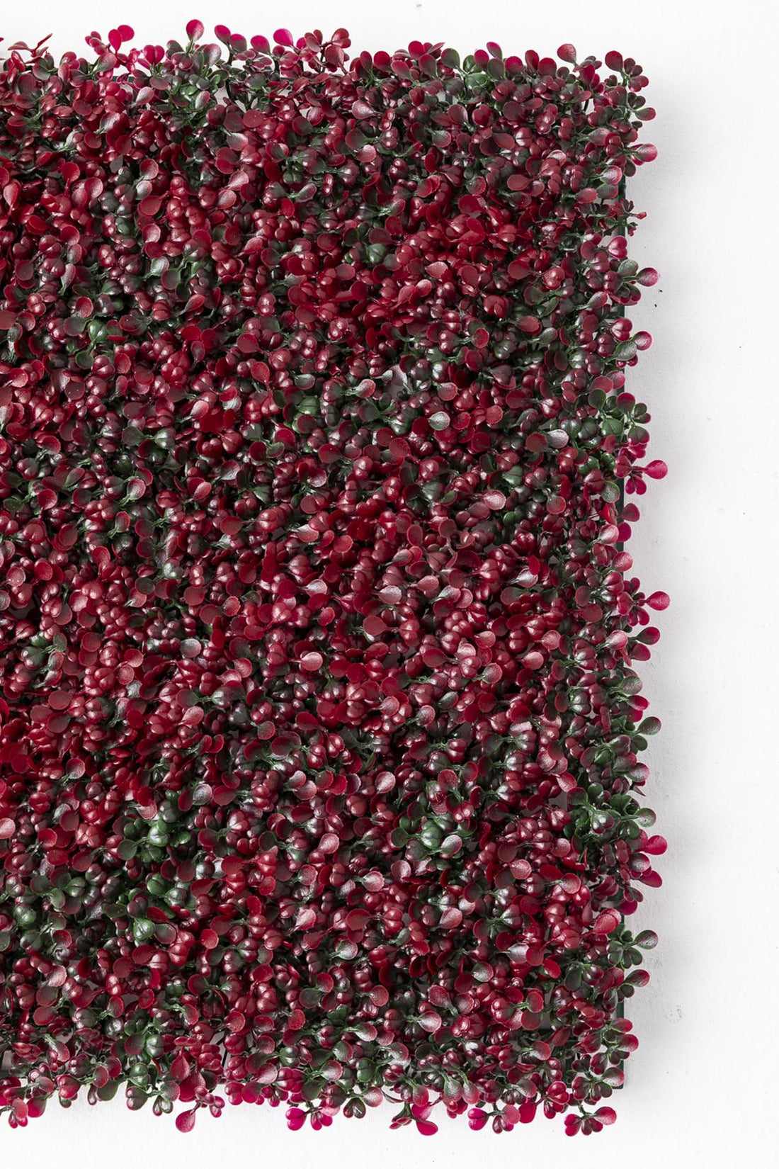 Yapay Duvar Paneli Uv Korumalı Kırmızı Şimşir 50*50