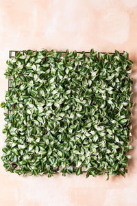 Yapay Duvar Paneli Uv Korumalı Limon Dalı Yeşil Beyaz 50*50