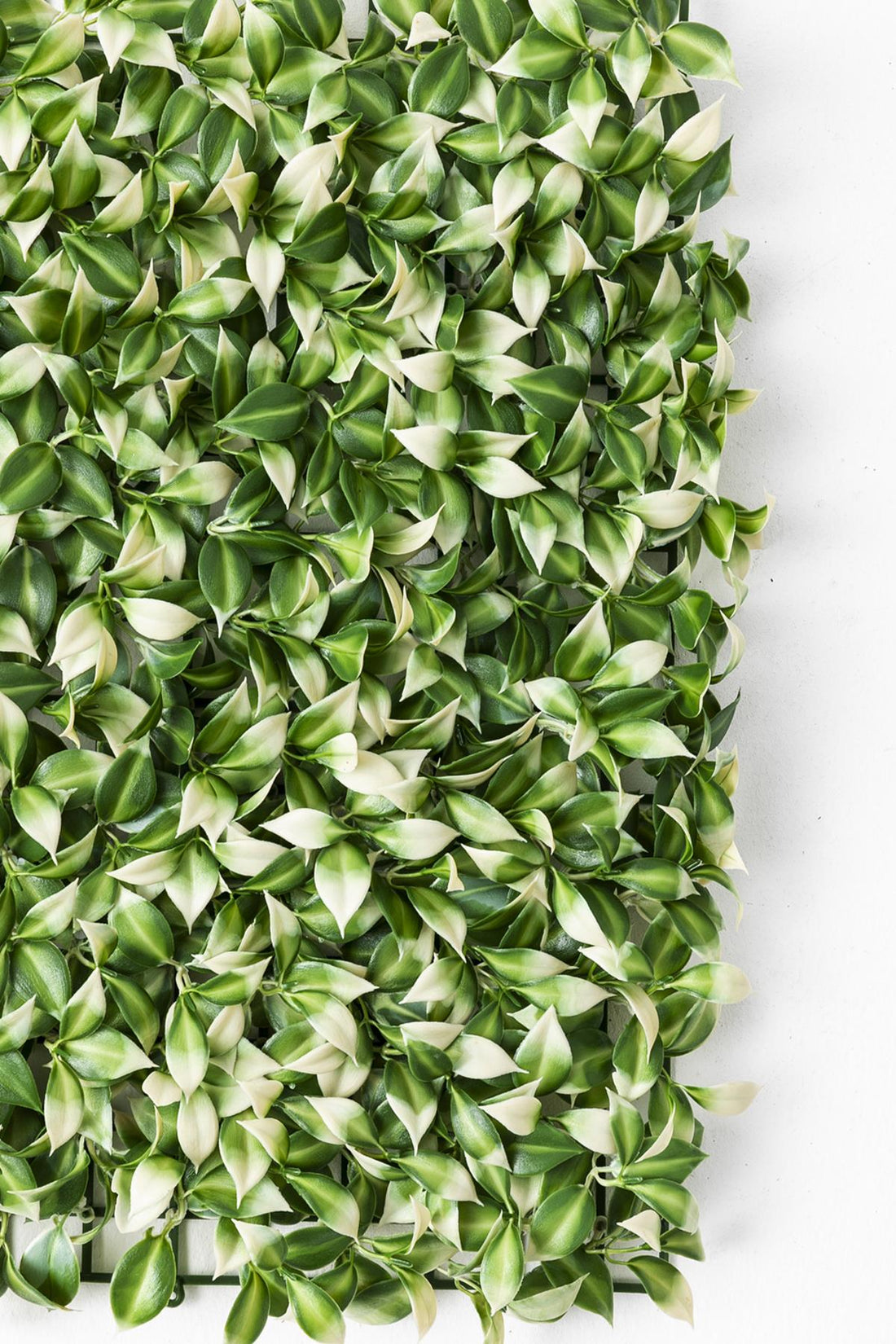 Yapay Duvar Paneli Uv Korumalı Limon Dalı Yeşil Beyaz 50*50