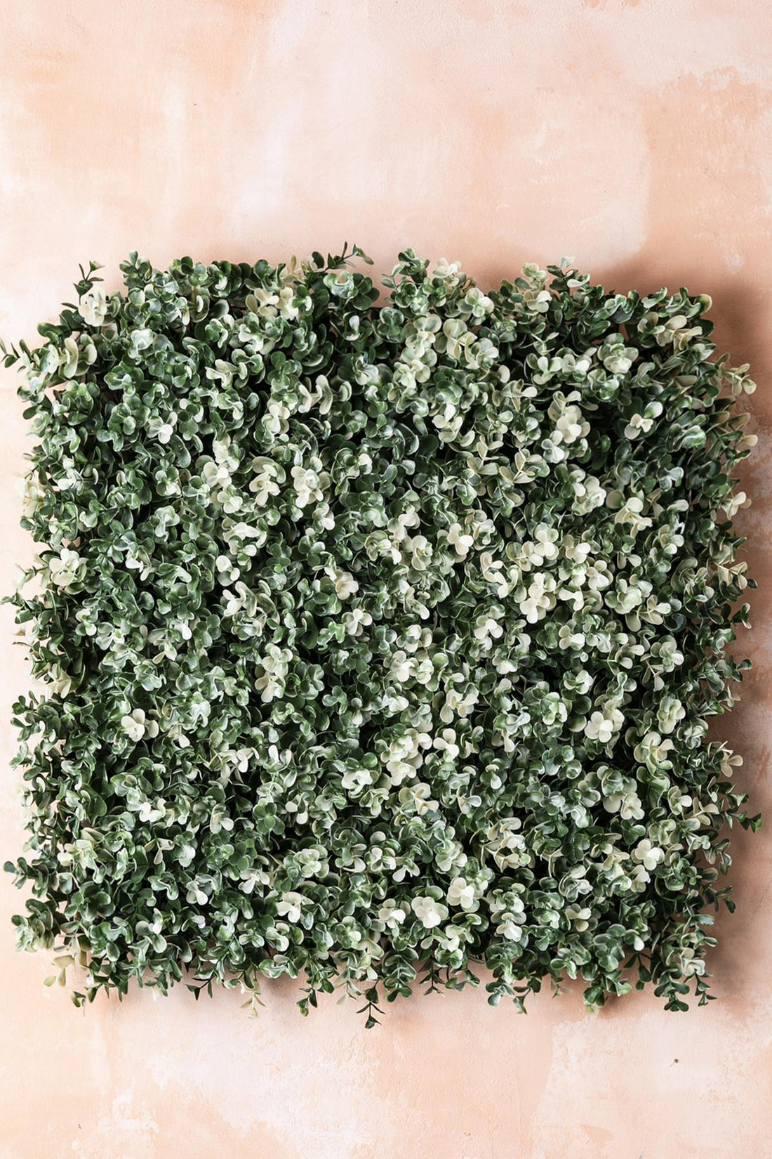 Yapay Duvar Paneli Uv Korumalı Okaliptus 50*50