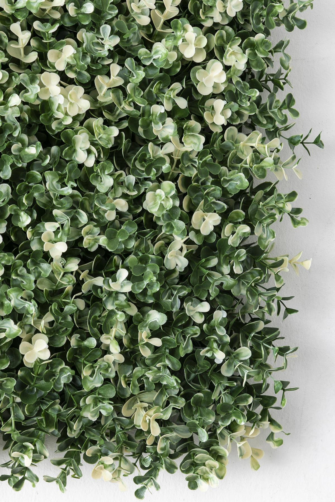 Yapay Duvar Paneli Uv Korumalı Okaliptus 50*50