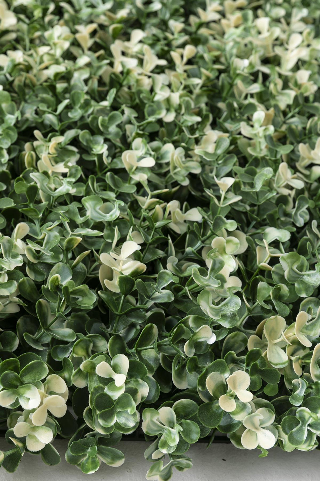 Yapay Duvar Paneli Uv Korumalı Okaliptus 50*50