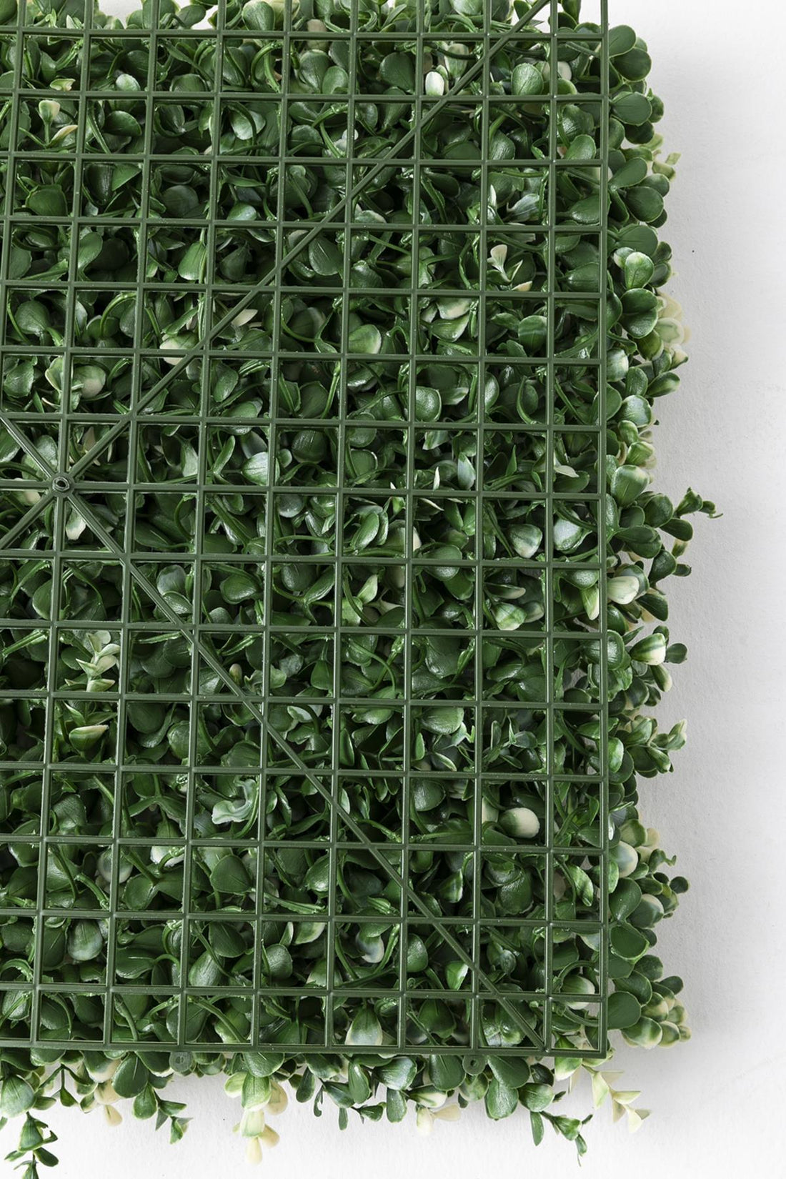 Yapay Duvar Paneli Uv Korumalı Okaliptus 50*50