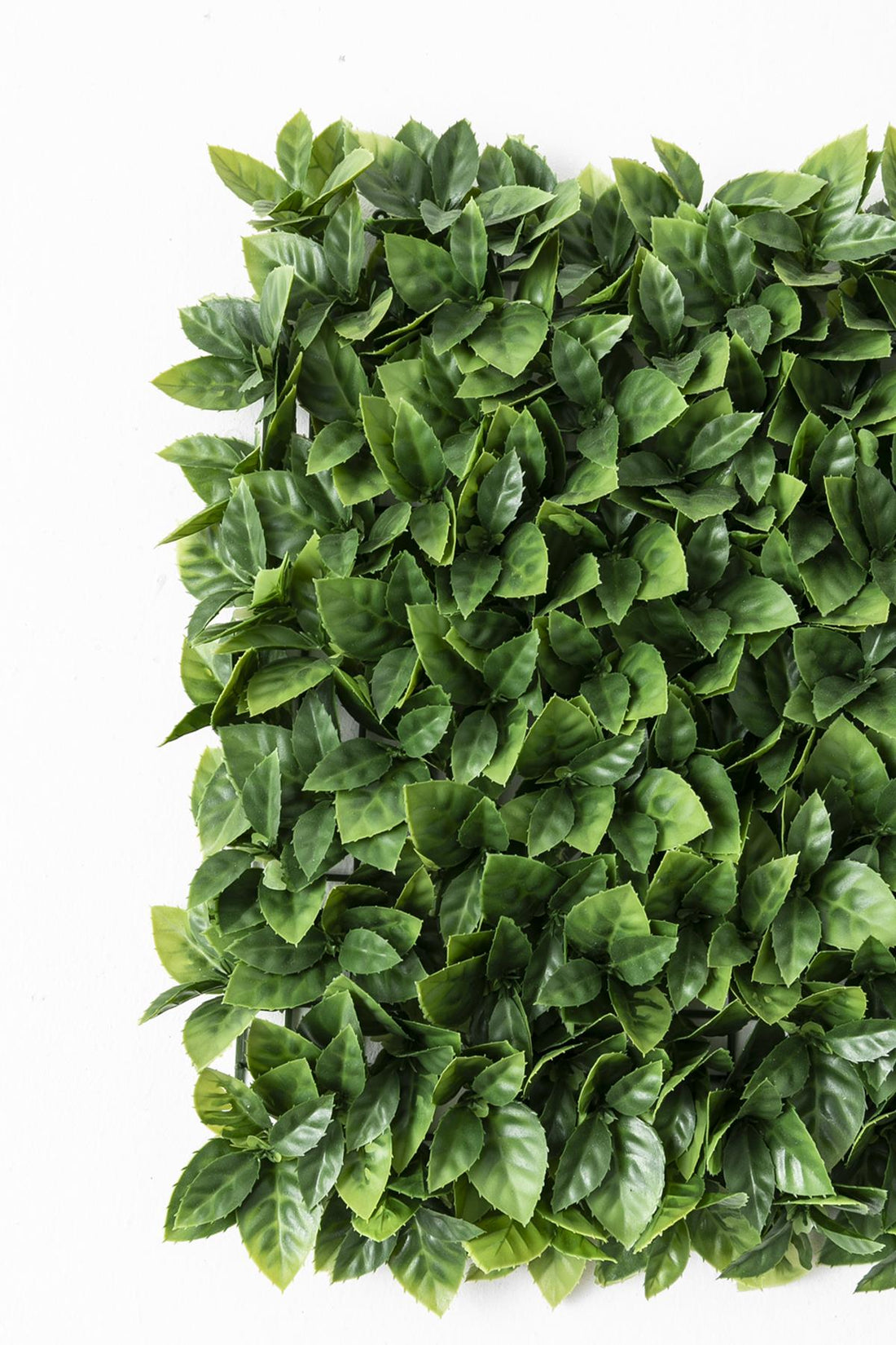 Yapay Duvar Paneli Uv Korumalı Portakal Yaprağı Açık Yeşil 50*50