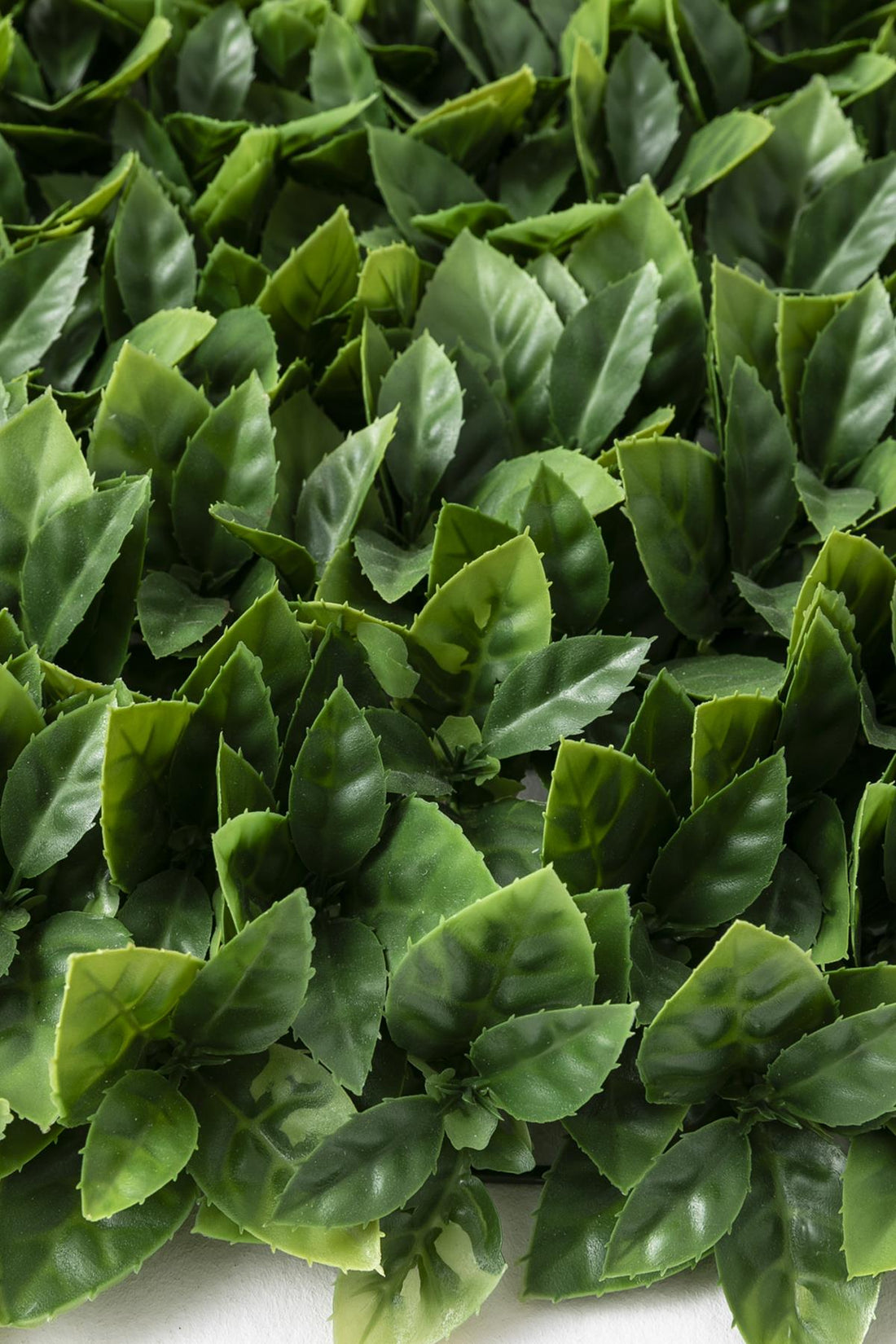 Yapay Duvar Paneli Uv Korumalı Portakal Yaprağı Açık Yeşil 50*50