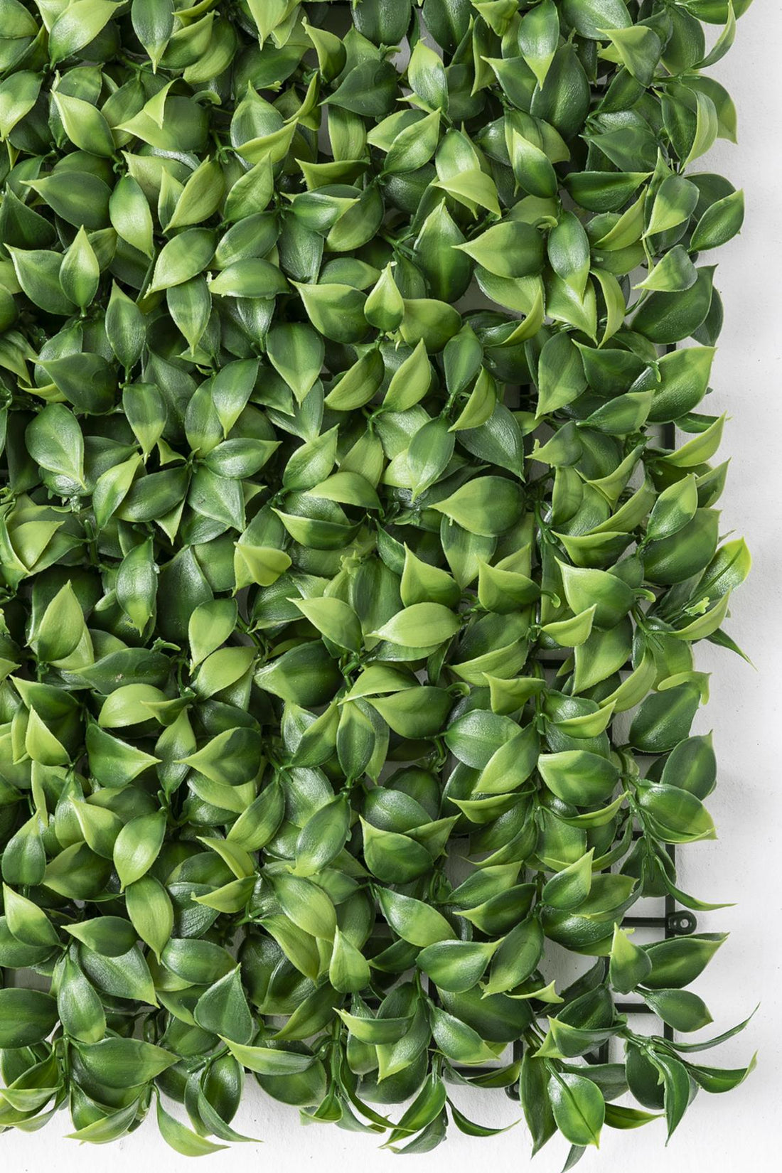 Yapay Duvar Paneli Uv Korumalı Portakal Yaprağı 50*50