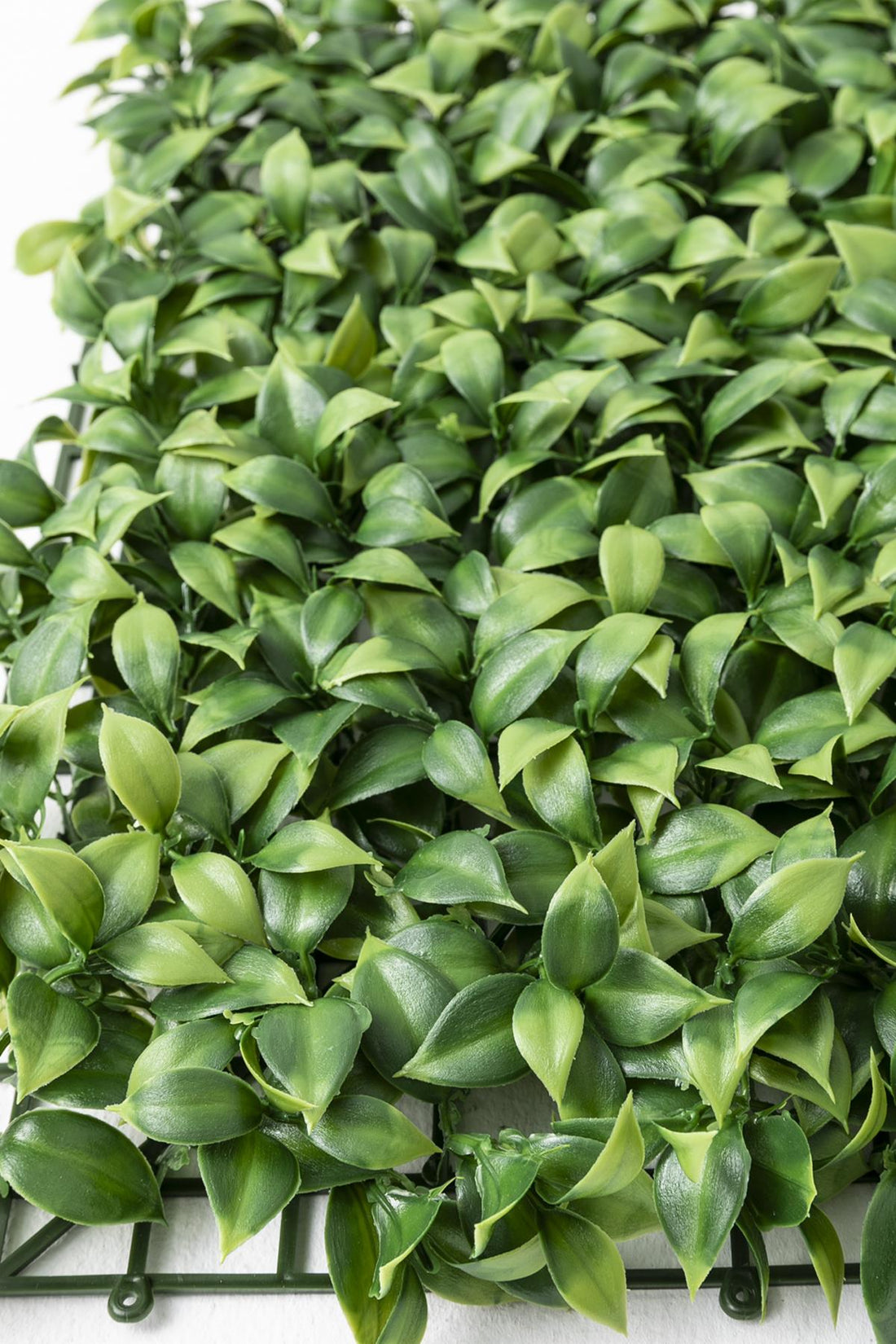 Yapay Duvar Paneli Uv Korumalı Portakal Yaprağı 50*50