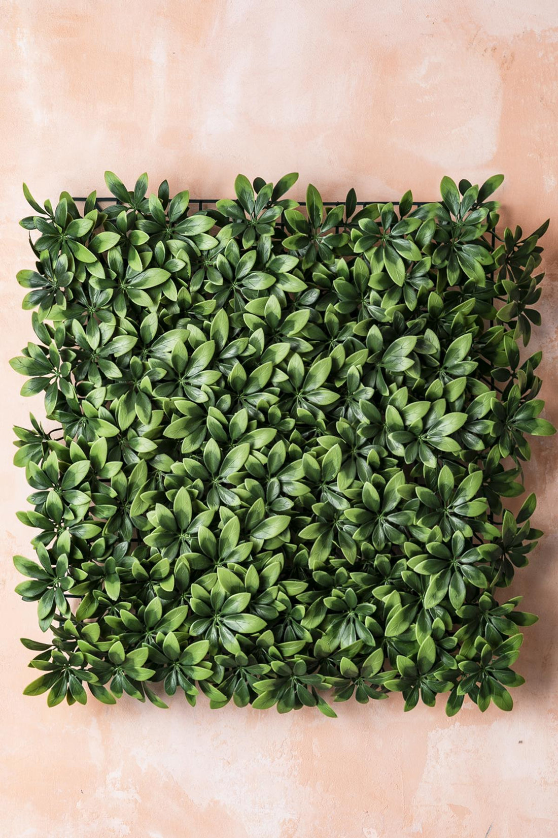 Yapay Duvar Paneli Uv Korumalı Şefrole 50*50