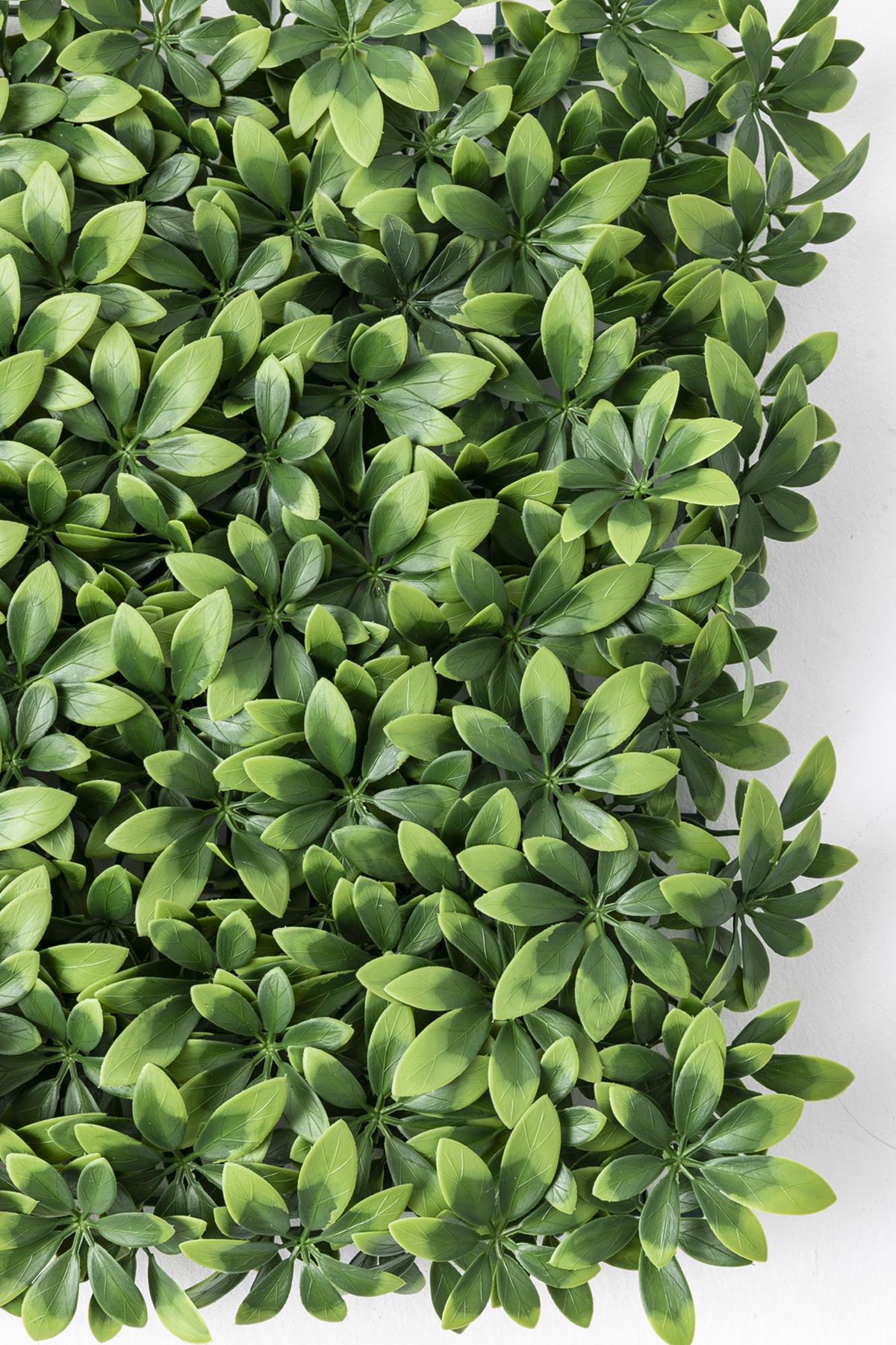 Yapay Duvar Paneli Uv Korumalı Şefrole 50*50