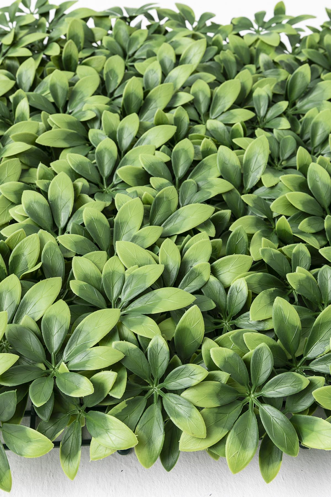 Yapay Duvar Paneli Uv Korumalı Şefrole 50*50