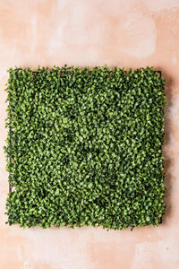 Yapay Duvar Paneli Uv Korumalı Şimşir Açık Yeşil 50*50