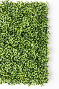 Yapay Duvar Paneli Uv Korumalı Şimşir Açık Yeşil 50*50