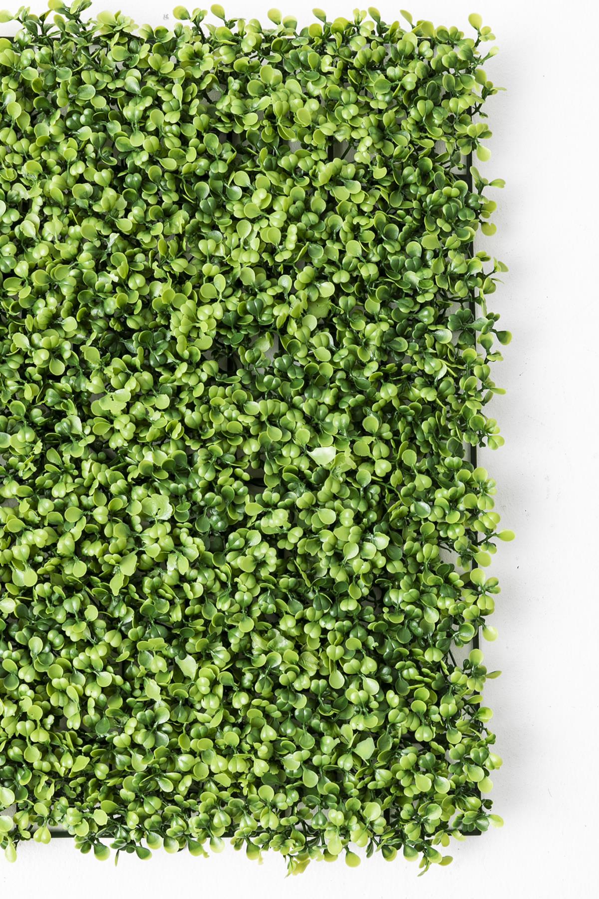 Yapay Duvar Paneli Uv Korumalı Şimşir Açık Yeşil 50*50