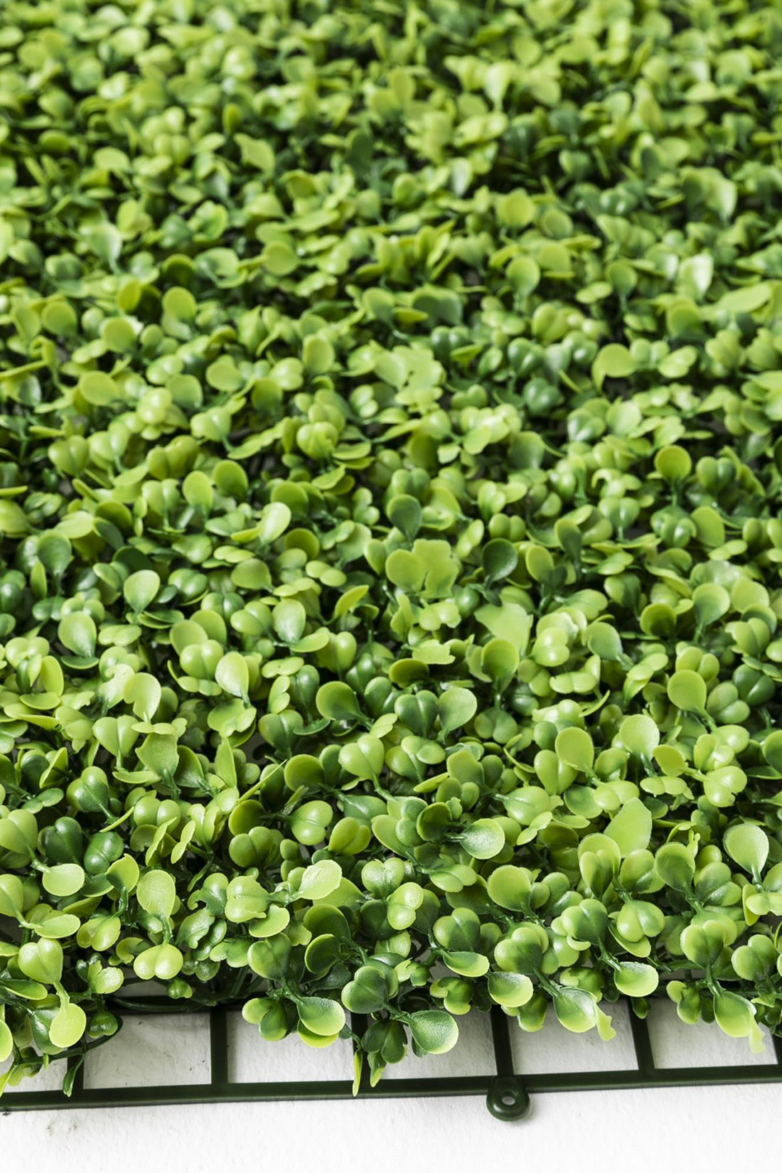 Yapay Duvar Paneli Uv Korumalı Şimşir Açık Yeşil 50*50