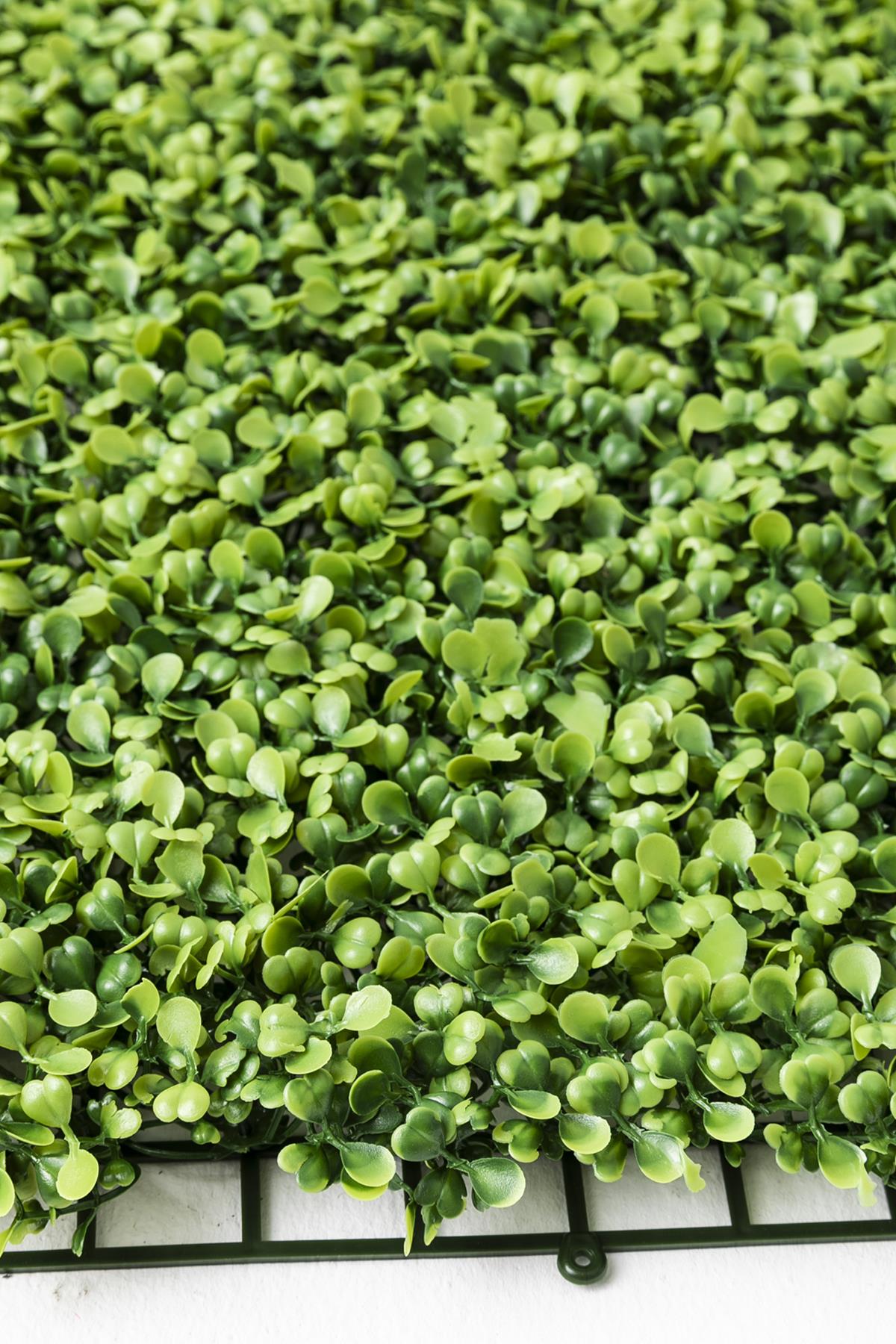 Yapay Duvar Paneli Uv Korumalı Şimşir Açık Yeşil 50*50