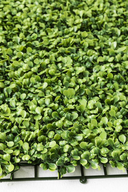 Yapay Duvar Paneli Uv Korumalı Şimşir Açık Yeşil 50*50