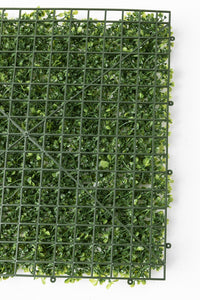 Yapay Duvar Paneli Uv Korumalı Şimşir Açık Yeşil 50*50