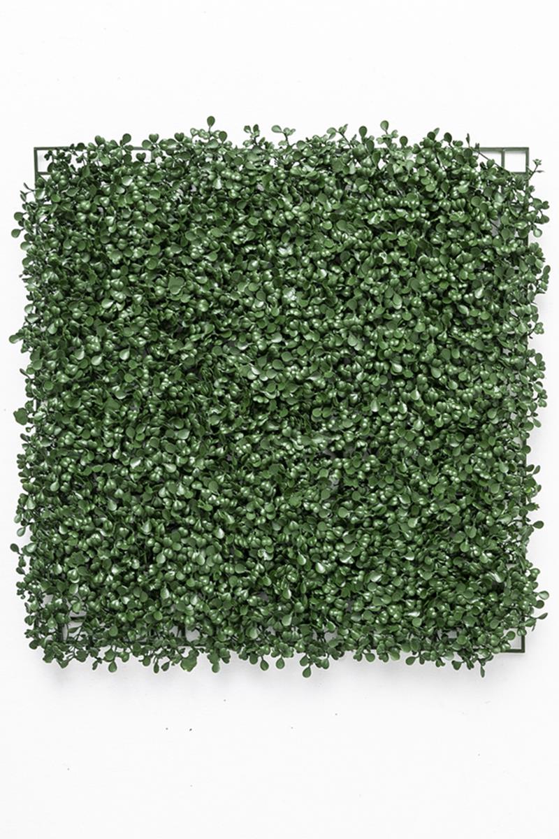 Yapay Duvar Paneli Uv Korumalı Şimşir Koyu Yeşil 50*50