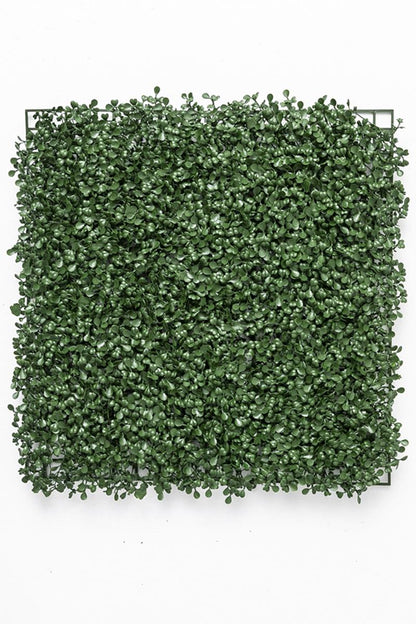 Yapay Duvar Paneli Uv Korumalı Şimşir Koyu Yeşil 50*50