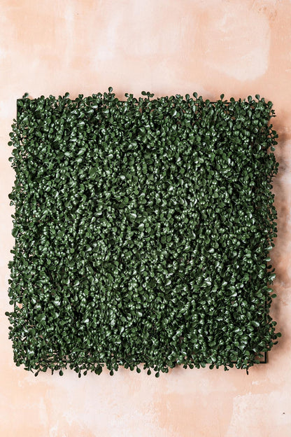 Yapay Duvar Paneli Uv Korumalı Şimşir Koyu Yeşil 50*50