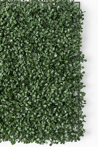 Yapay Duvar Paneli Uv Korumalı Şimşir Koyu Yeşil 50*50